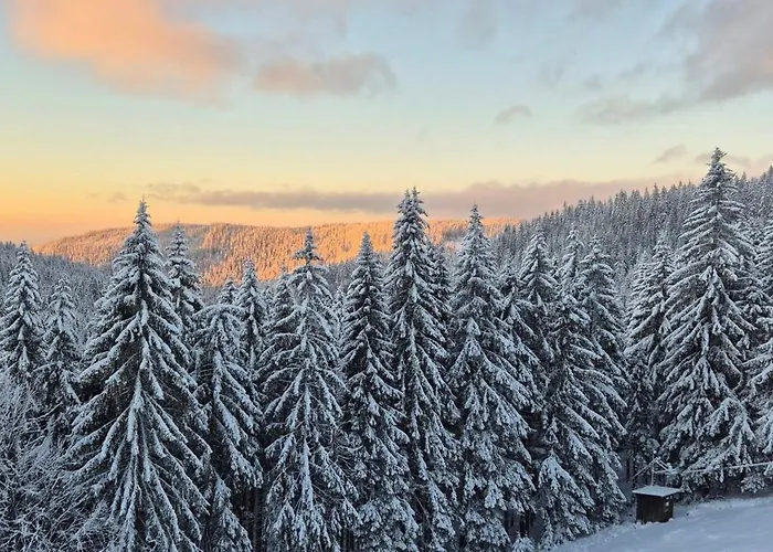 Appartement Horsky Cihlarka 306 Pec pod Sněžkou