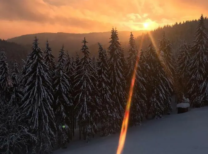 Appartement Horsky Cihlarka 306 *